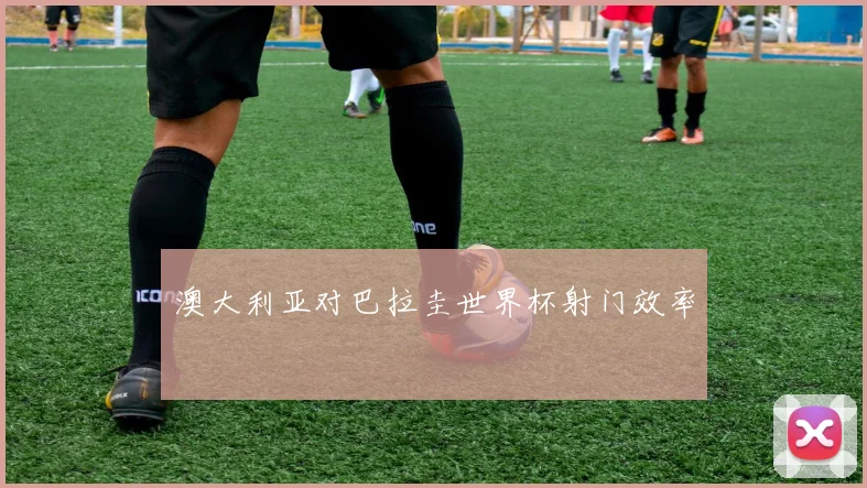 澳大利亚对巴拉圭世界杯射门效率